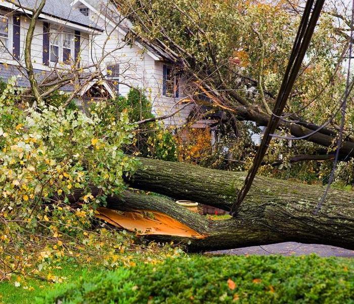 Storm damage to a house with fallen trees