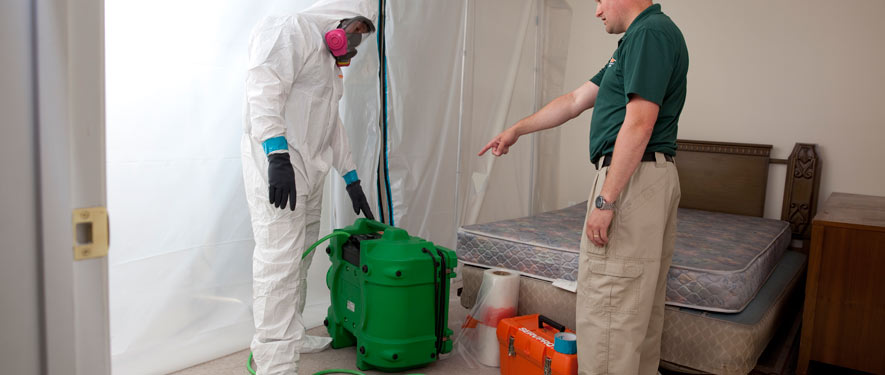 Vineland, NJ mold removal process